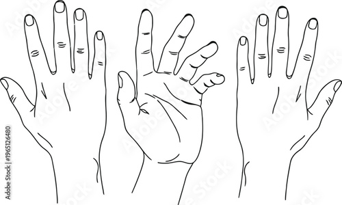 Abstract line art depicting multiple open hands reaching upwards together