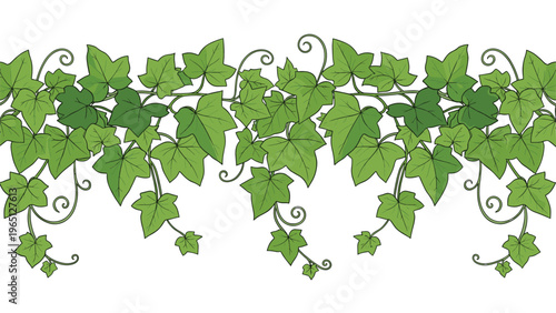 Seamless horizontal border of green ivy leaves and curling vines on a white background for natural and botanical design projects.