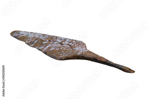 Canvas Print Ancient spear head made of iron