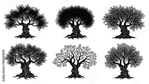 Detailed silhouettes of olive trees with gnarled trunks and lush leaf canopies representing peace, wisdom, and longevity.