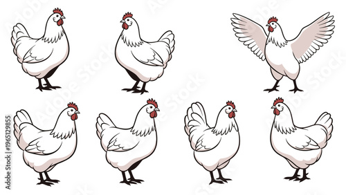 Collection of white hen illustrations showing various natural poses of farm chickens with red combs and yellow beaks.
