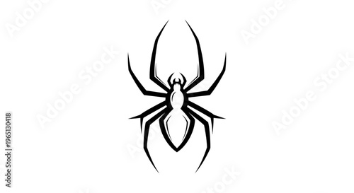 Black spider from the front view.