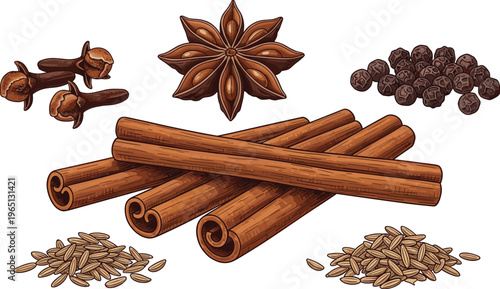 Aromatic spice assortment with cinnamon sticks star anise cloves peppercorns and cumin seeds isolated food vector illustration