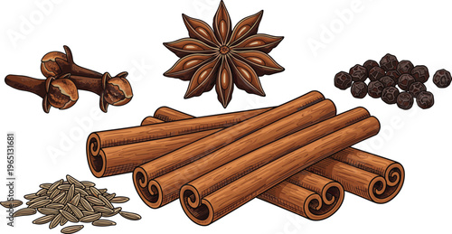 Aromatic spice collection with cinnamon sticks star anise cloves peppercorns and cumin seeds isolated vector food illustration