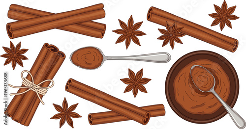 Cinnamon sticks and star anise with ground cinnamon powder in bowl and spoon spice vector illustration isolated background