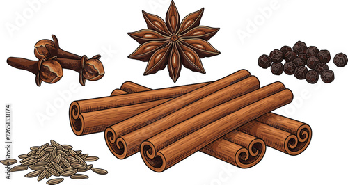 Cinnamon sticks with star anise cloves peppercorns and cumin seeds aromatic spice collection isolated vector food illustration