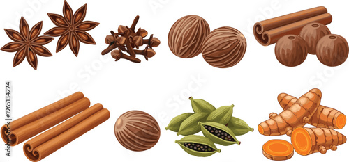 Collection of aromatic spices including cinnamon nutmeg star anise cardamom cloves and turmeric isolated food ingredients vector illustration