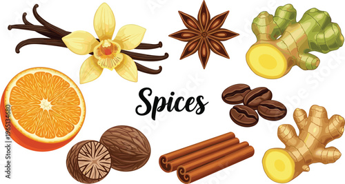 Colorful spice ingredients illustration featuring vanilla, cinnamon, ginger, coffee beans, orange slice, nutmeg and star anise on clean background