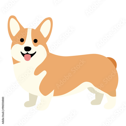  Cute Welsh Corgi Dog Standing Short Legs Pet Vector