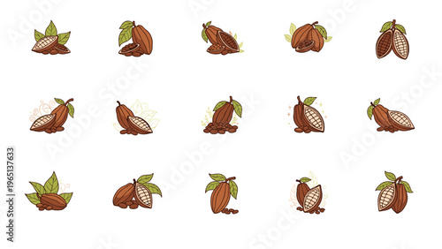 Set of detailed cocoa bean and pod illustrations showing the whole fruit and seed sections for industrial chocolate production.