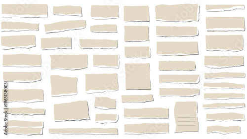 Large collection of diverse pieces of beige torn paper and scraps arranged neatly against a clean white background for scrapbooking.