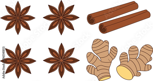 Spice ingredients illustration featuring star anise, cinnamon sticks and fresh ginger roots isolated on clean background for cooking design