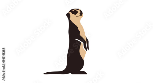 woman legs in black shoes