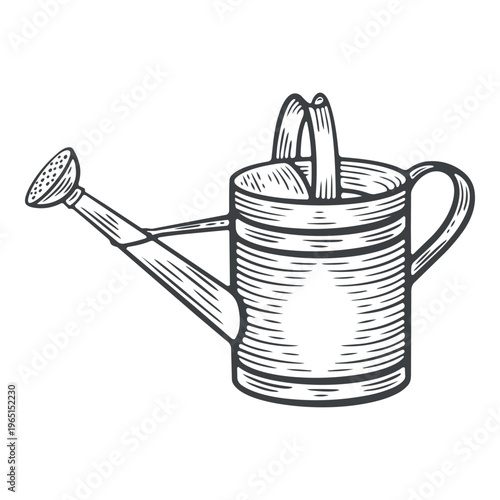 Watering can, gardening tool, irrigation equipment, lines, hand-drawn, black and white, graphic illustration, engraving isolated