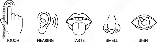 "Set of 5 Icons Representing the Five Senses: Touch, Hearing, Taste, Smell, and Sight"