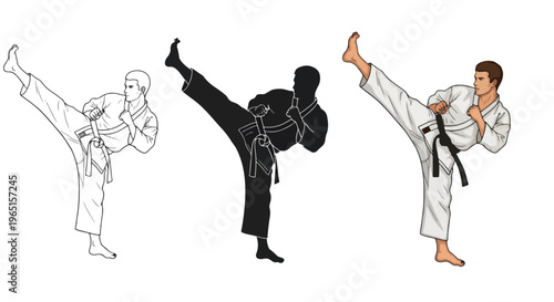 karate kick icon set martial arts - Editable line icons. Vector illustration - Glyph and solid icon set - Icon vector