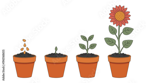 Flower growth stages set, vector illustrations of sowing plant in soil in spring, cartoon plant life cycle showing phases from seed to sprout and bloom, isolated on white