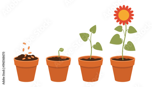 Flower growth stages set, vector illustrations showing seed, sprout, and fully bloomed flower phases, cute cartoon plant life cycle for cultivation, plant evolution, and educational visuals isolated