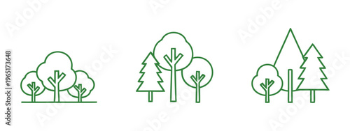 Cfc2022vv tree species identification and classification guide