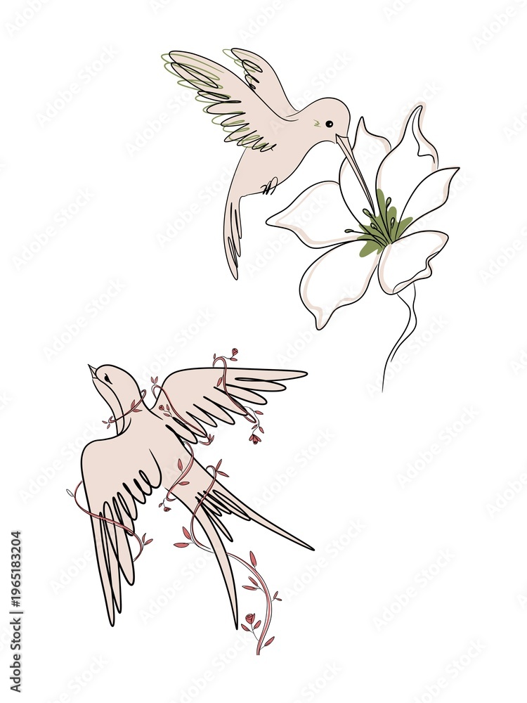 Obraz premium Bird and flower relationship concept set minimal line illustration isolated on white