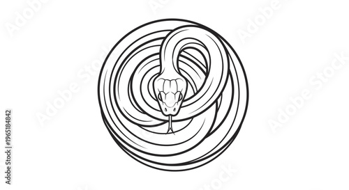 coiled snake illustration