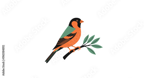 colorful bird sitting on a branch