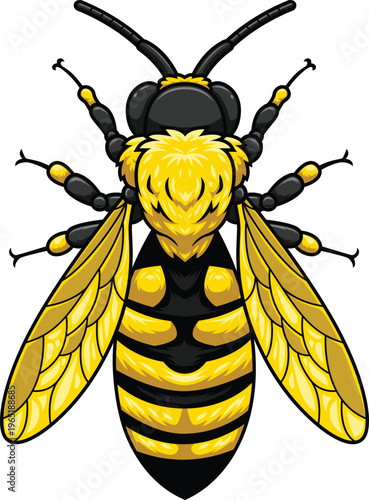 Honey Bee Full Body Top views