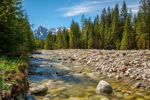 Long exposure photo of a smooth flowing mountain stream with clear water and rocks in Vysoké Tatry, Slovakia. Peaceful natural scene with soft water motion, ideal for relaxation, wellness, spa and nat
