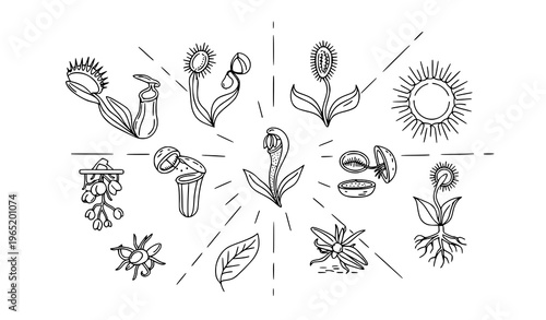 Modern carnivorous plants linear icon pack with venus flytrap pitcher plant and exotic botanical elements