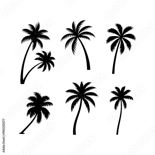 Tropical Palm Tree Silhouette Set – Black Vector Coconut Trees Collection