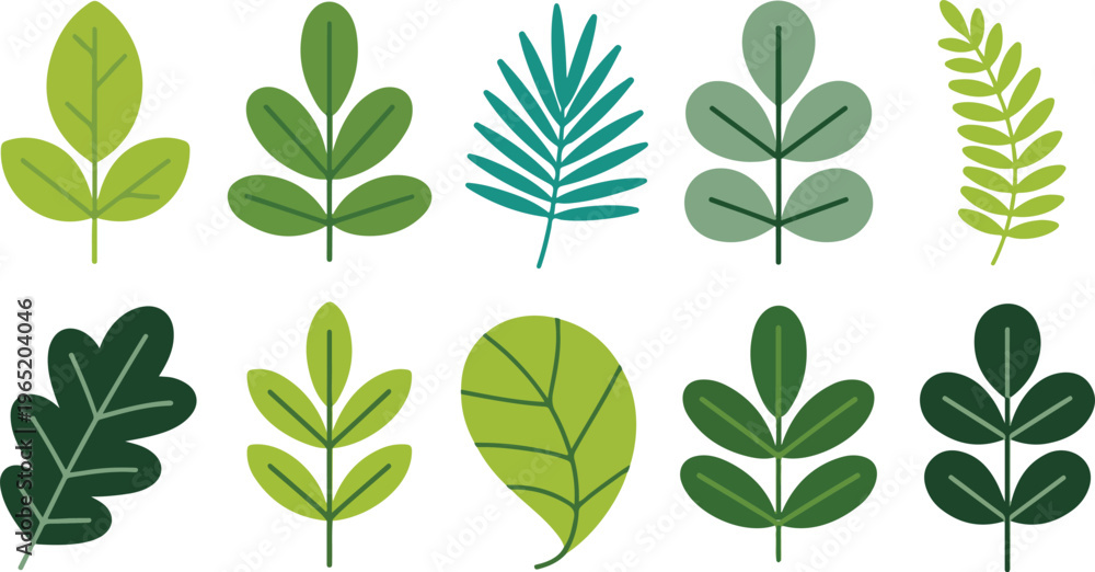 Naklejka premium Set of stylized green leaves and branches isolated on white background vector illustration