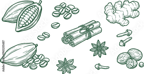 Hand-Drawn Spices and Ingredients Collection: Cocoa, Coffee, Cinnamon, Ginger