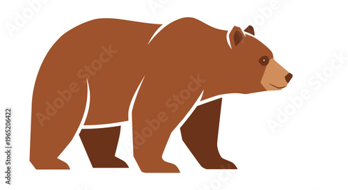 Brown bear walking profile view 1.