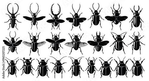 Beetle silhouette vector set black insect icons collection of stag beetles scarabs and bugs isolated on white background