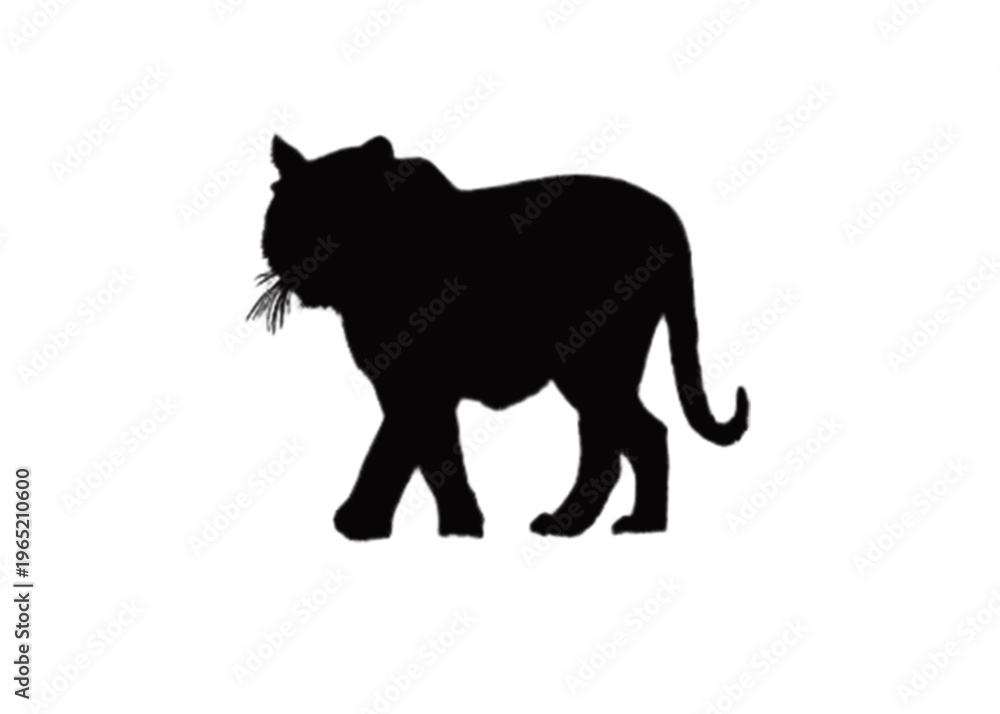 Obraz premium black panther vector