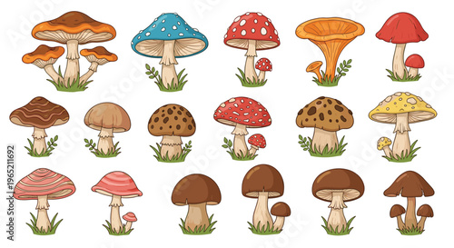 Diverse edible and poisonous forest mushrooms vector collection for autumn foraging stickers
