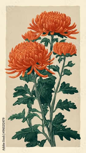 オレンジ色の菊と緑の葉の切り絵風イラスト