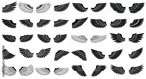 Hand drawn vintage wing vector set with detailed feather sketches and heraldic angel wing elements on white background