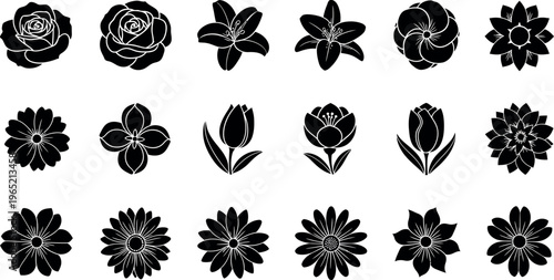 Collection of black and white floral silhouette flower rose lily
