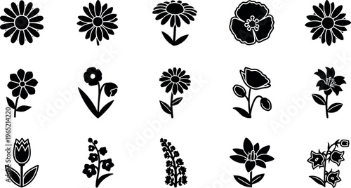 Collection of black and white stylized flower silhouette daisy poppy