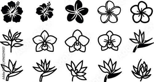 Collection of black and white tropical flower and leaf hibiscus plumeria orchid
