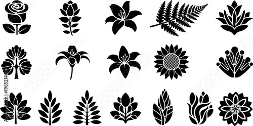 Collection of black floral and leaf flower rose lily sunflower fern