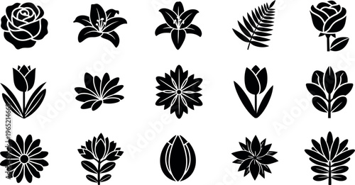 Collection of black floral and leaf silhouette on white background flower rose
