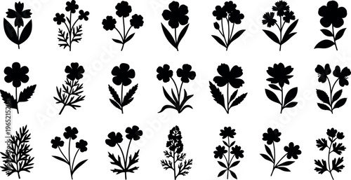 Collection of black floral silhouettes on white background flower plant nature