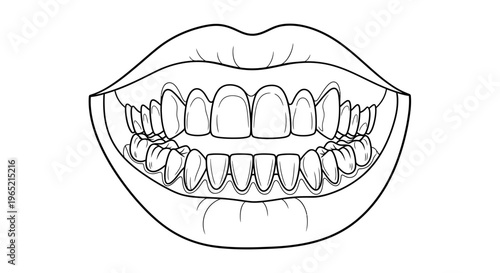 Close-up line art illustration of a healthy human mouth with white teeth and lips