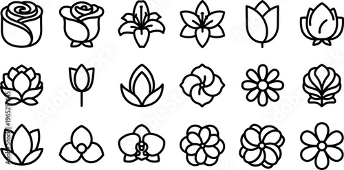 Collection of black outline flower on white background floral botanical simple flower