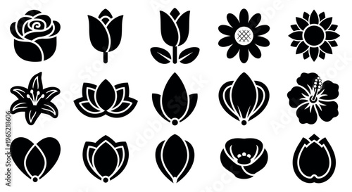 Collection of fifteen black flower on white background rose tulip lily lotus