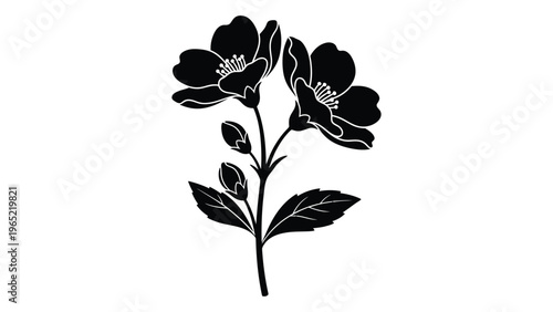 Black and white illustration of a flowering plant with leaves