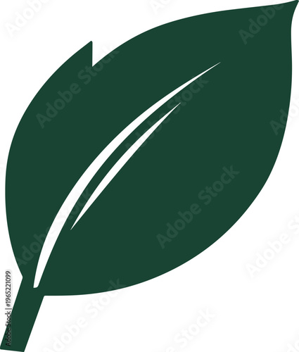Dark green leaf vector illustration, a simple botanical graphic, natural foliage element for eco-friendly designs, organic product branding, and sustainable lifestyle concepts