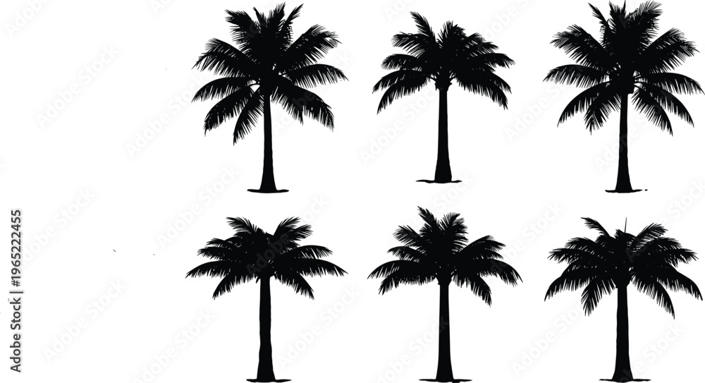 Fototapeta premium Collection of detailed black palm tree silhouettes isolated on white background, tropical coconut trees vector set for summer vacation, beach travel, and nature design.